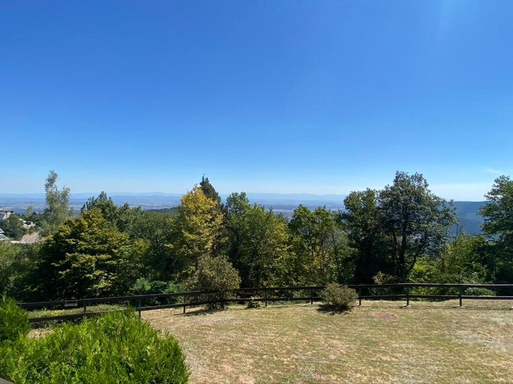 Le Panorama - Gites Marck Turckheim Exterior photo