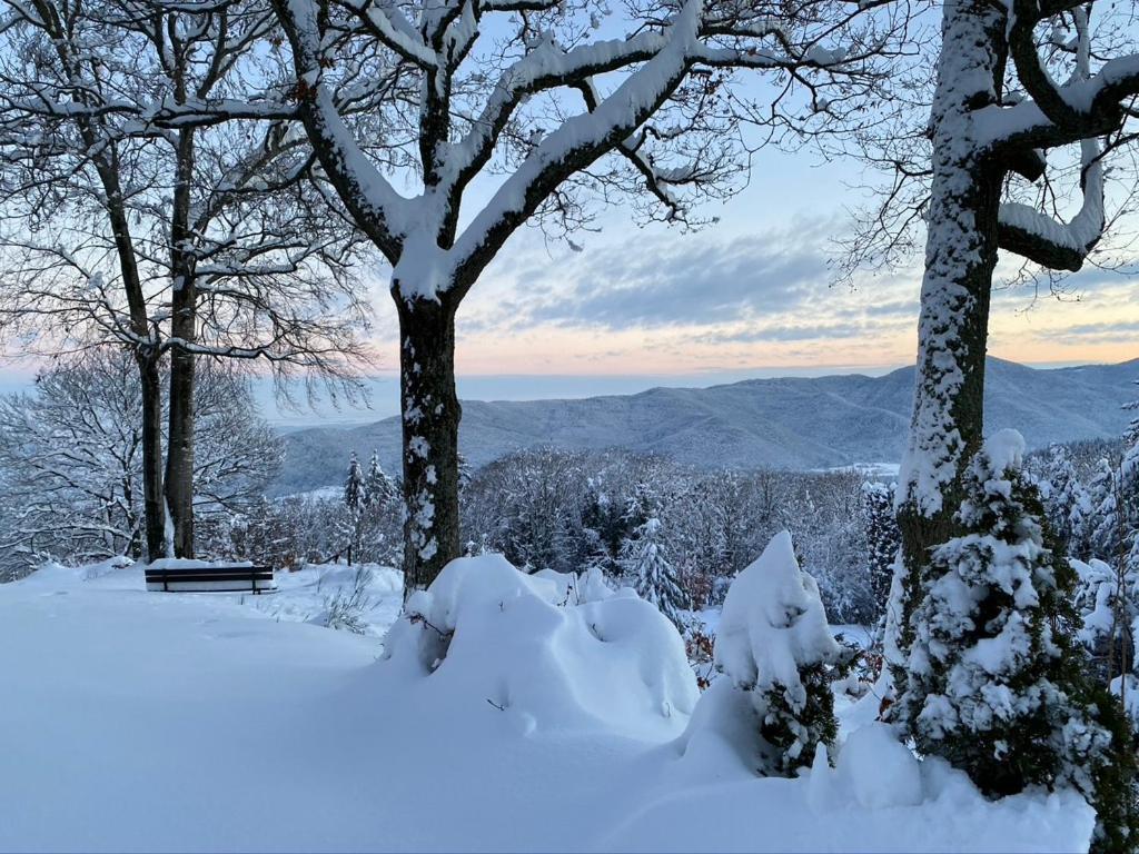 Le Panorama - Gites Marck Turckheim Exterior photo